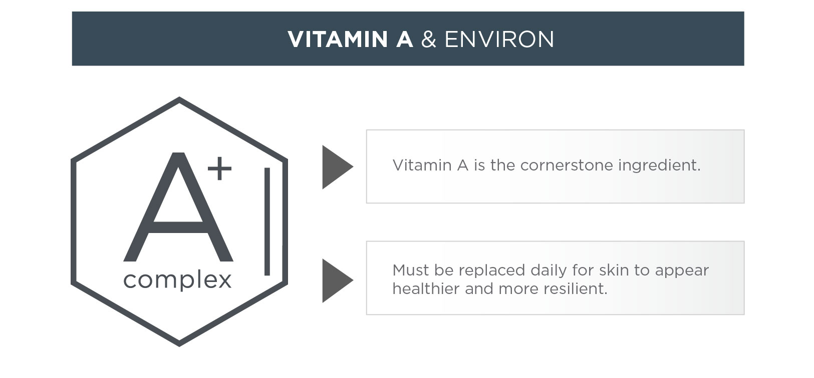 Vitamin-A and Environ | Environ Skin Care